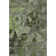 Premium Machine Washable Cerrito AMF555 Green Rug