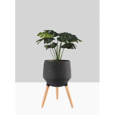 Medena Ceramic Pot Planter