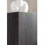 Noraiz End Table