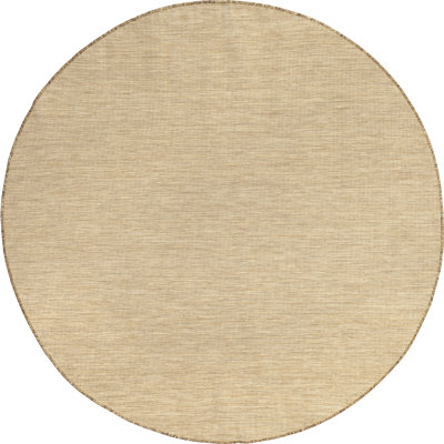 Nakia Transitional Indoor/Outdoor Area Rug