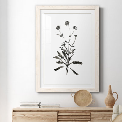 Inky Botanical I - peinture encadrée