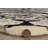 Harjo Tiger Shaped White And Black Accent Rug-1032229118