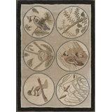 Antique American Folk Art Naturalist Design Hooked Bird Rug