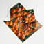 Tapisserie murale «Fruit Aprium»-133641888
