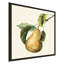 "Vintage Fruit Du Marche" par Lisa Audit - peinture sur toile à cadre flottant-849377972