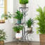 Anka Metal Weather Resistant Plant Stand-828061920