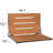 Silhouette Folding Shower Seat