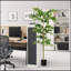Arbre artificiel de 6 pi de hauteur, plante artificielle Polyscias Fruticosa pour la décoration intérieure, verdure en soie artificielle en pot pour le salon, le bureau, la décoration de la maison 1pc / ensemble 