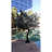 120'' LED Lighted Trees & Branches-1077415061