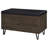 Brixton 2-Door Padded Entryway Shoe Storage Bench-1614935958