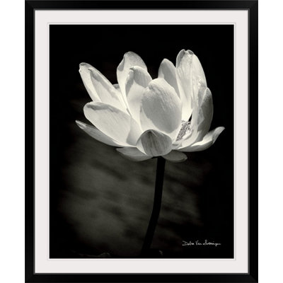 Lotus Flower B&W " Lotus Flower X " by Debra Van Swearingen