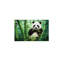 No Frame Print on Canvas