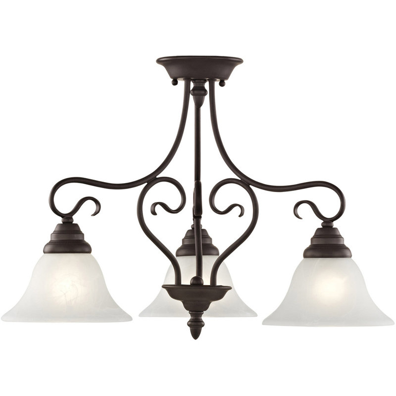 3 - Light Classic / Traditional Chandelier