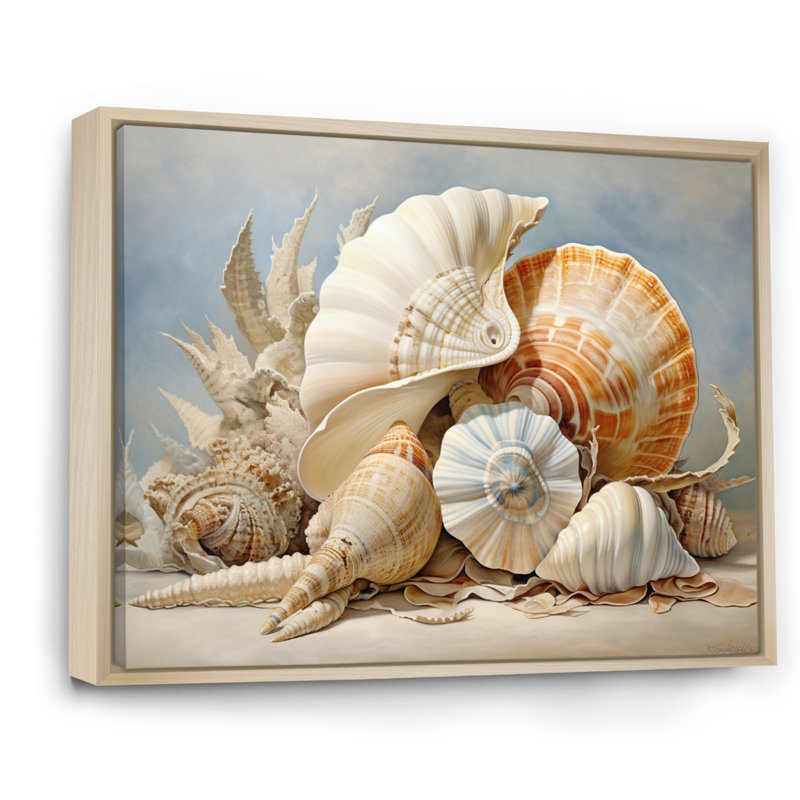 Collage de coquillages contemporains, H 12 po x l 20 po x P 1 po, Cadre naturel flottant
