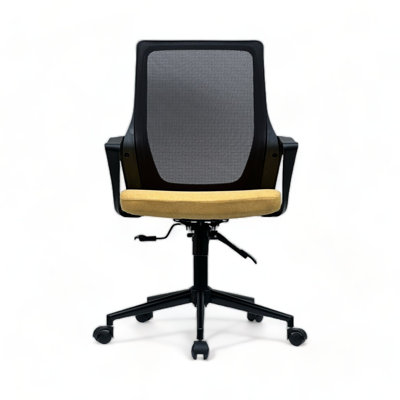 Cashay Foam Padding Office Chair
