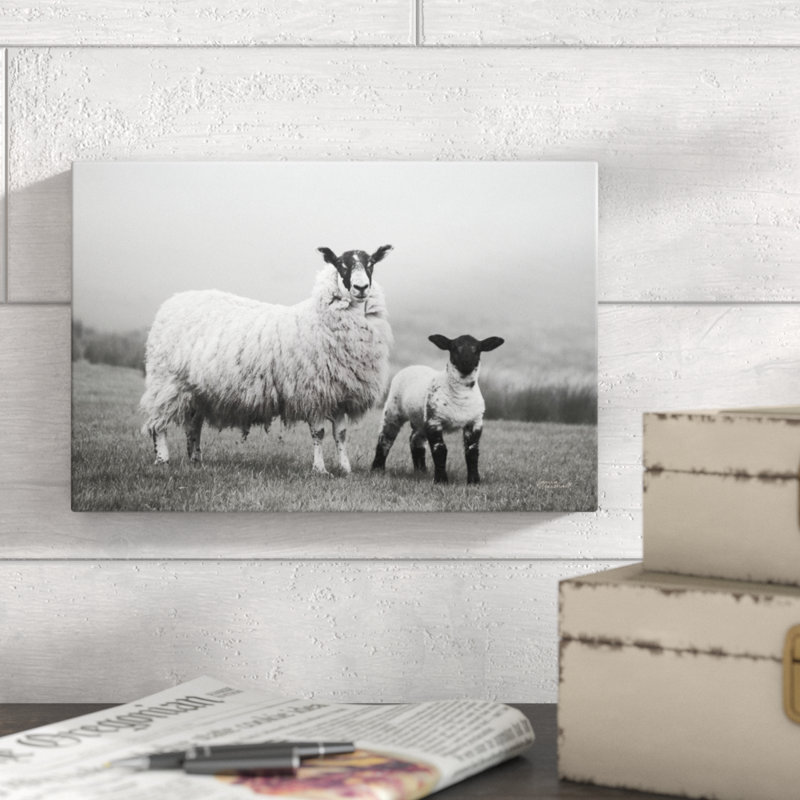 Islay Sheep I by Laura Marshall - Wrapped Canvas Print, 20cm H x 30cm W