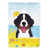 Bernese Mountain Dog