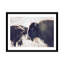 Photographie buffalo-43719325-43719326