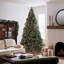 Carolina Green Pine Artificial Christmas Tree with Clear Lights with Stand-1948406327