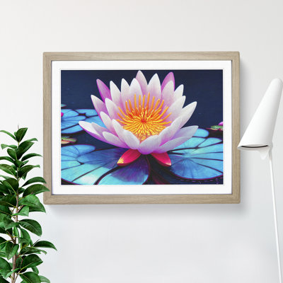 Beauteous Water Lily Flower - Single Picture Frame Print