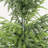 4ft Artificial Pine Tree, 1 Piece-127384100-127384102