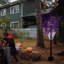  Décoration de jardin orange / mauve 350 pi 5 pi