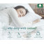 Ensemble de draps 100% coton pour lit simple TG-396946345-396946357