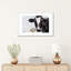 Impression « trip op » par Marcello Petisci-54014360-54014376-54014378