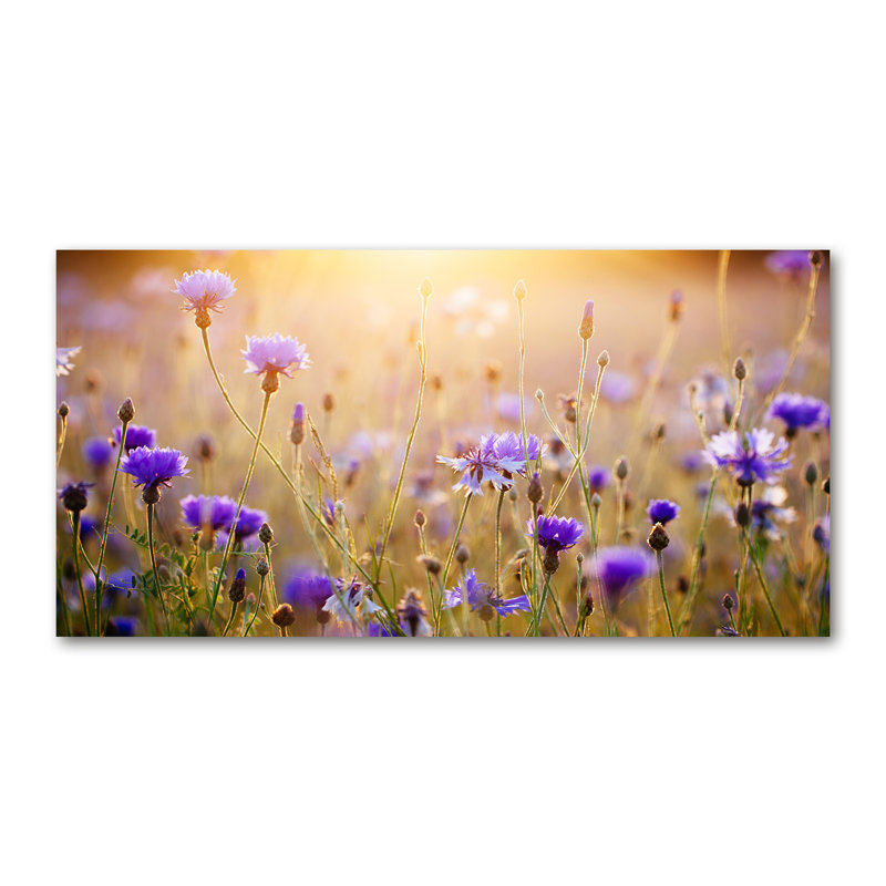 Lorett 50cm W x 100cm L Glass Peel and Stick Panel