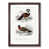 Walnut Framed selected