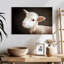 Brampt Baby Sheep-108877821