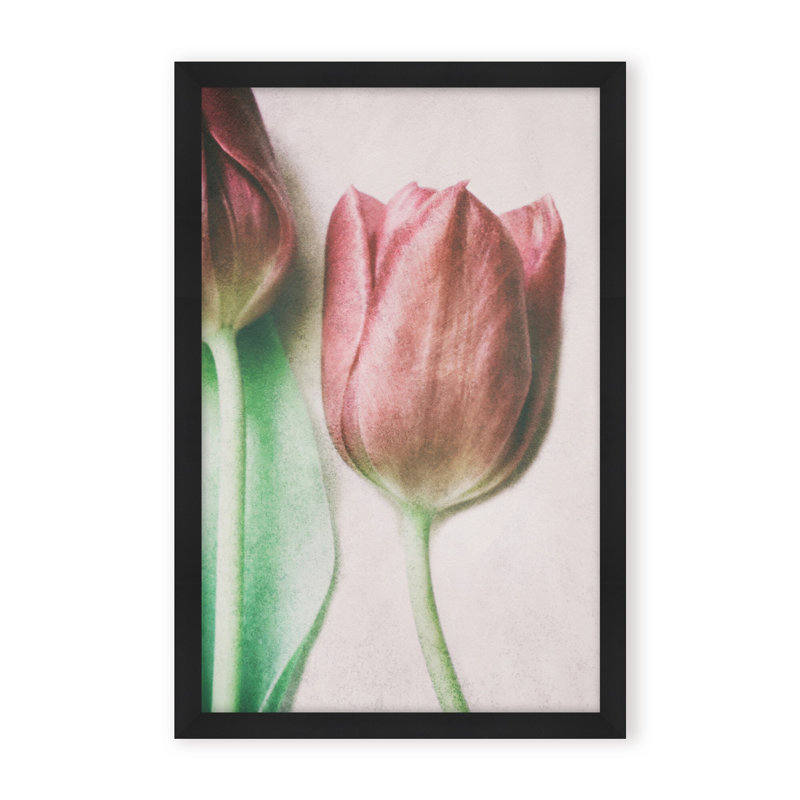 Nature Inspired The Spring Lovers by  - Picture Frame Graphic Art on Paper, Framed Canvas, 48" H x 32" W x 2.375" D, White