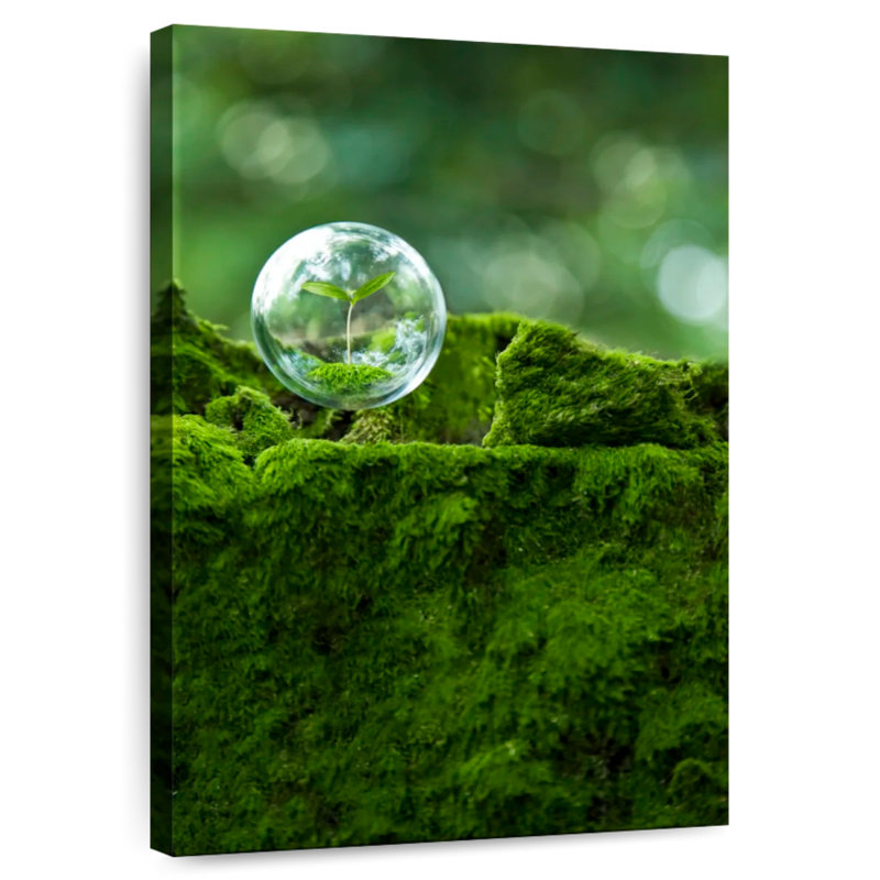 Bubble Encased Plant, 36" H x 24" W