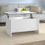Hydia Lift Top Sled Coffee Table with Storage-1035314952-1053389254