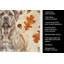 Serviette de cuisine tricolore Sheltie-2083471938
