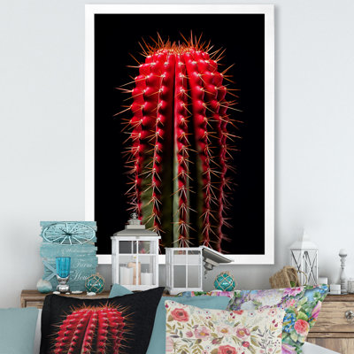 Cactus monolithe marron rouge et noir - décoration murale cactus