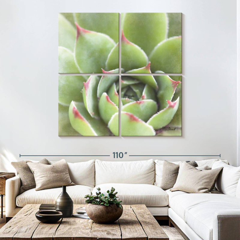 Harnek Garden Succulents III