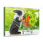 No Frame Print on Canvas-541778670