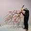 Arbre persimmon mural avec branches de Jujube-1768683083