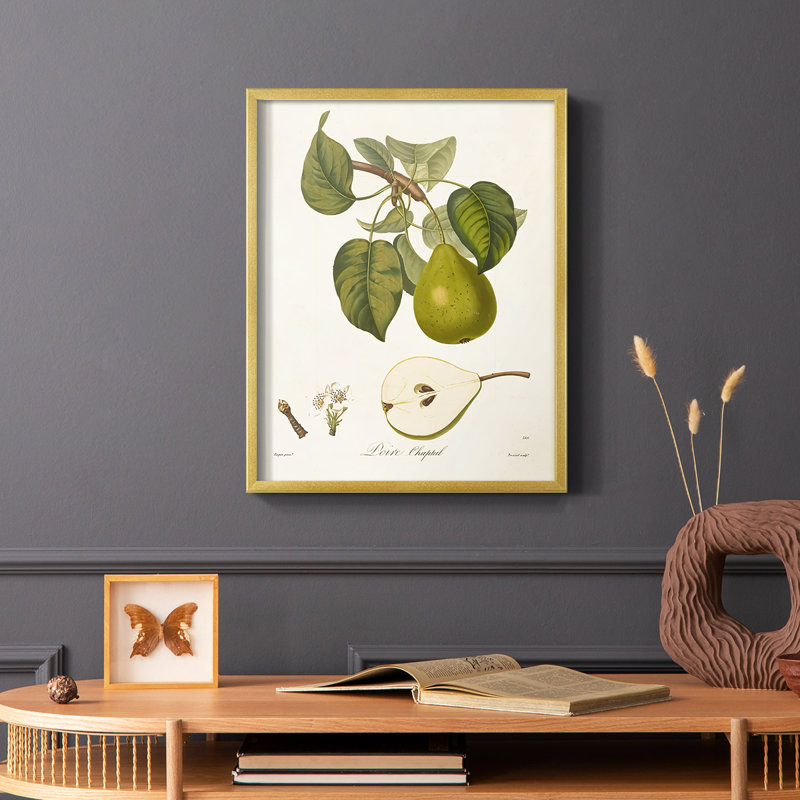 Vintage Pears VI, reproduction encadrée - bois massif, Or, H 10 po x l 8 po