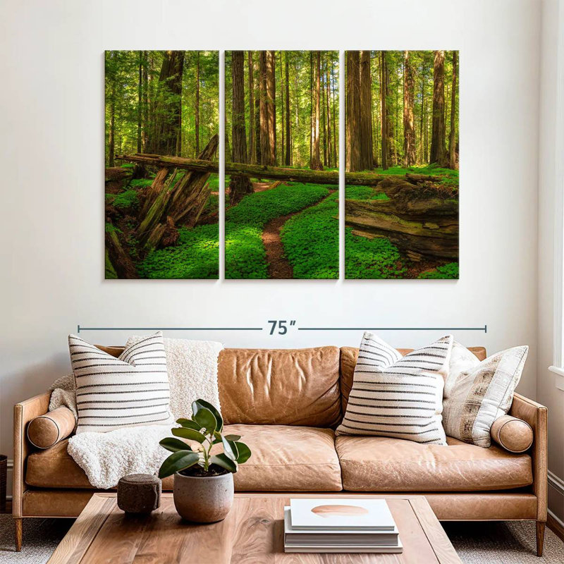 Harnek Scenic Redwood Forest, 42" H x 65" W