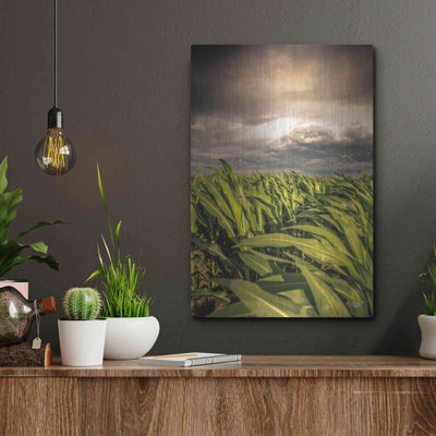 Luxe Metal Art 'Field Of Corn' By Donnie Quillen M " Field Of Corn " by Donnie Quillen