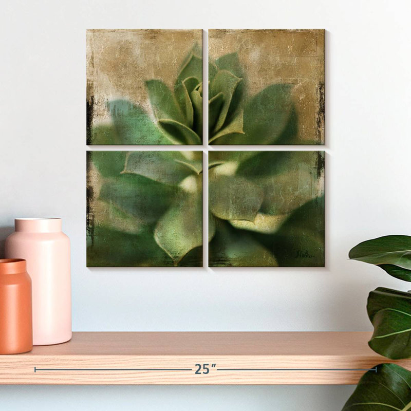 Harnek Succulent I, H 18 po x l 18 po