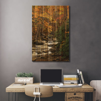 États-Unis, Tennesse. Feuillage d'automne le long d'un ruisseau dans les Smoky Mountains.