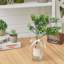 33 cm H Faux Ficus Branch Plant