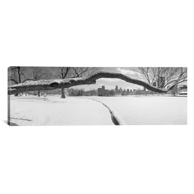 " Bare trees in a park, Lincoln Park, Chicago, Illinois, USA " Black and White Photography
