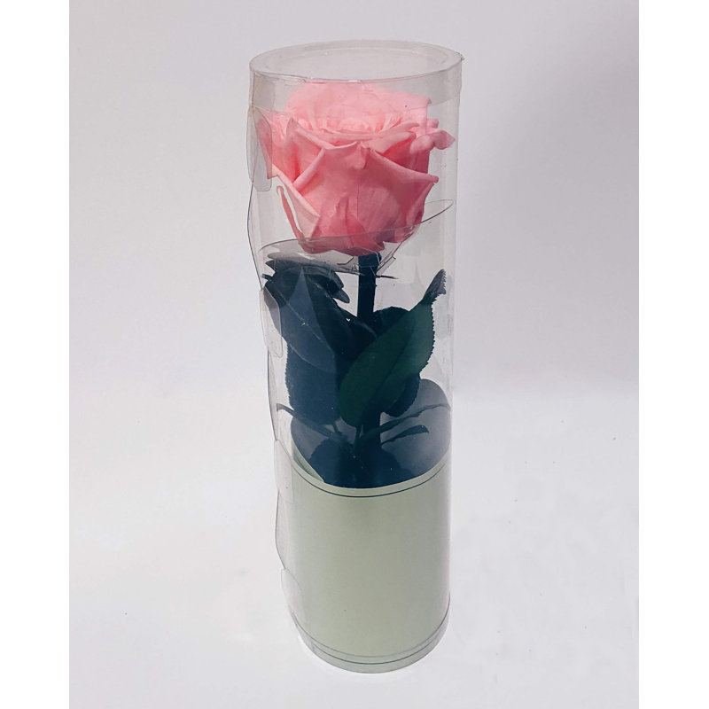 Preserved Natural Rose Rose Arrangement in Pot, Pink