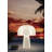 The Boleti Lamp