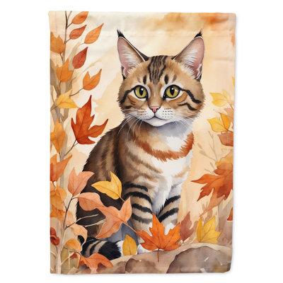 Chat en feuilles d'automne