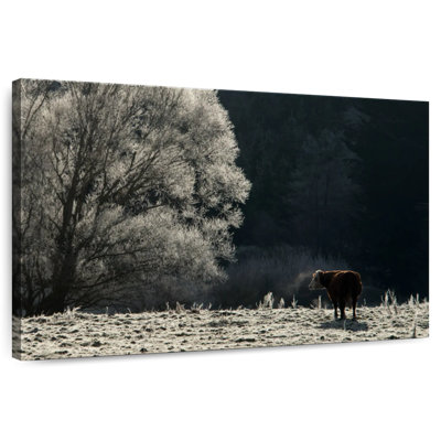 Brampt Cold Otago Cow